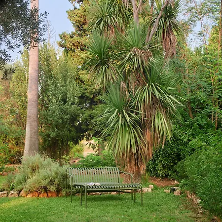 Sa Sinia En El Corazon De La Tramuntana Valldemossa (Mallorca)