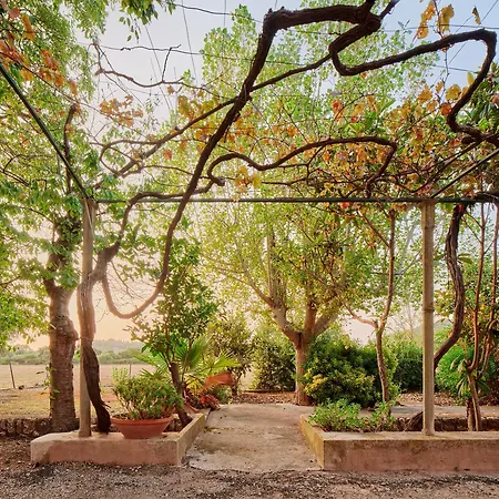 Sa Sinia En El Corazon De La Tramuntana Villa