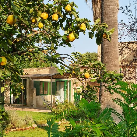 Sa Sinia En El Corazon De La Tramuntana Villa Valldemossa (Mallorca)
